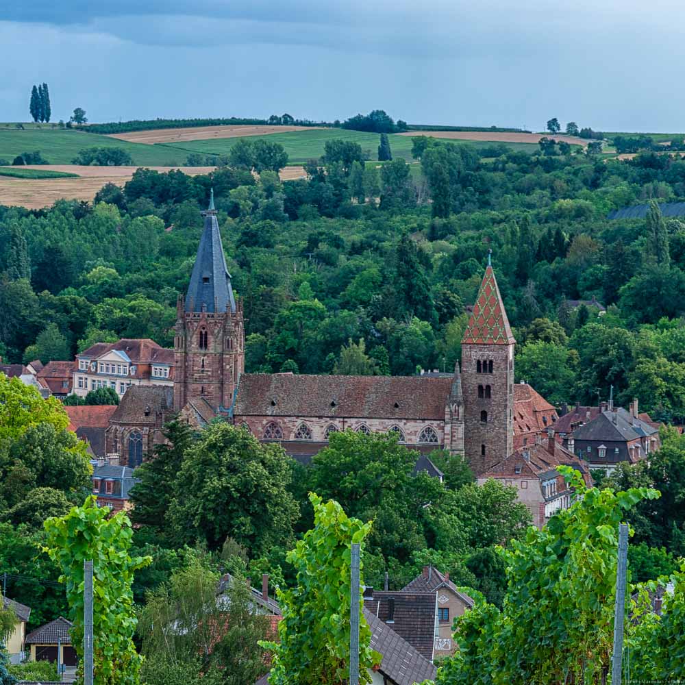 Kathedrale Église Saints-Pierre-et-Paul betrachtet von den Weinbergshügeln bei Wissemburg Elsass. Im Hintergrund sind Wälder auf Hügeln. Am Himmel sind Wolken.