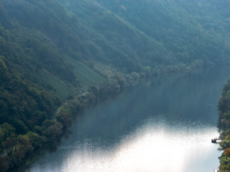 In der Mitte des Bildes fließt die Mosel. Links liegen am steilen Hang am Ufer des Flusses Wälder und der Weinberg Kröver Paradies. Im Fluss Monsel spiegeln sich der Wald und der Weinberg. Am rechten Ufer ist eine Schilff-Anlegestelle und dort wachsen einige Bäume.