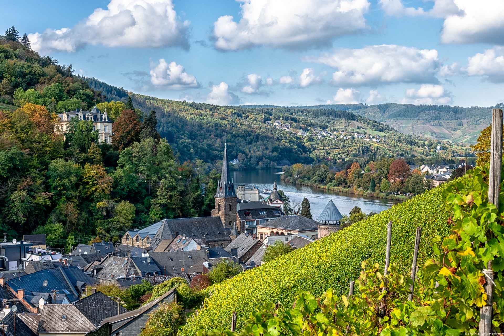 Auf der rechten Seite erkennt man die Riesling-Rebstöcke des Weinbergs Trarbacher Burgberg. Unten links erblickt man den Ort Traben-Trarbach samt Kirche. In der Bildmitte fließt der Fluss Mosel. Links und im Hintergrund sind bewaldete Hügel und weitere Weinberge. Am blauen Himmel sind viele einzelne Wolken.