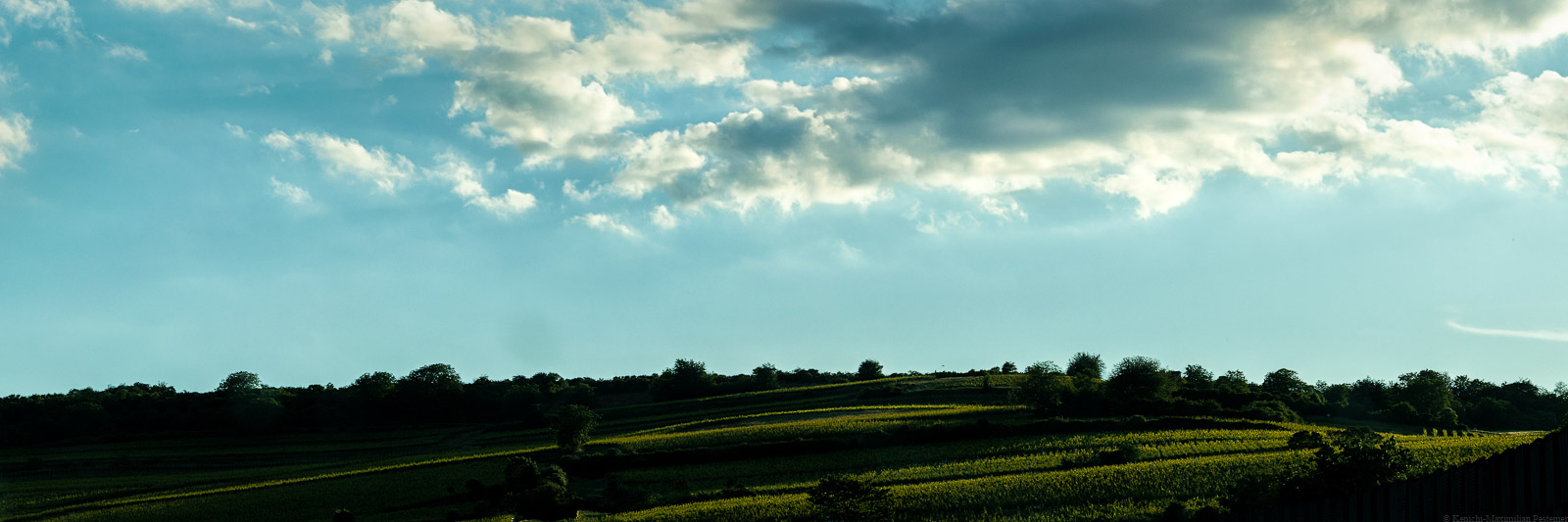 Licht- und Schattenspiel im Weinberg Sausenheimer Honigsack in der Pfalz. Ganz weit oben am blauen Himmel sind Wolken.