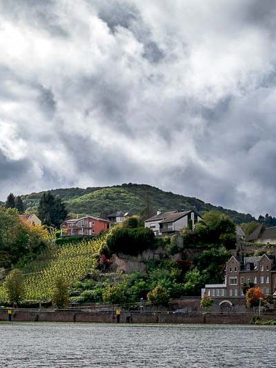 Im Vordergrund fließt der Fluss Mosel. Die Alfer Hoelle ist ein Weinberg der sich in den Ort Alf einfügt. Der Weinberg liegt an einem Hang zwischen Häusern am Ufer des Flusses. Der Himmel ist stark bewölkt.