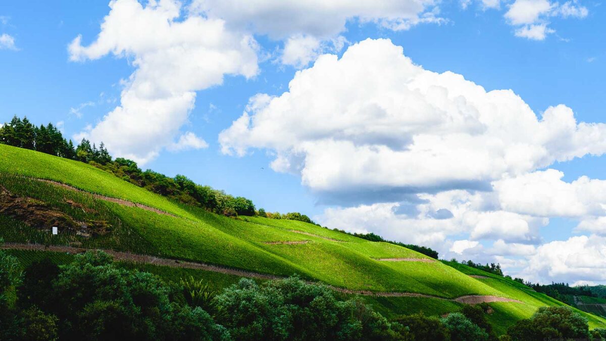 Steile Weinberge Brauneberger Juffer und Braunberger Juffer Sonnenuhr, bewölkter Himmel