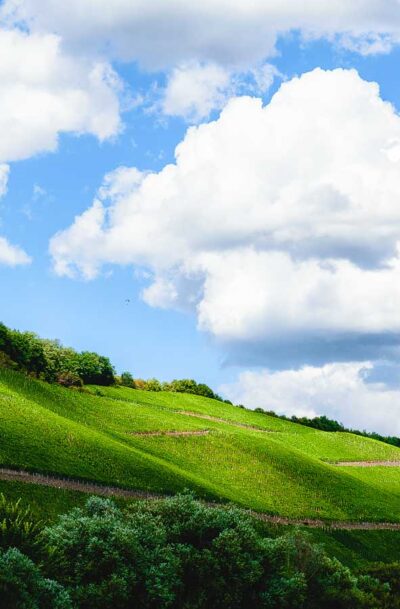 Steile Weinberge Brauneberger Juffer und Braunberger Juffer Sonnenuhr, bewölkter Himmel
