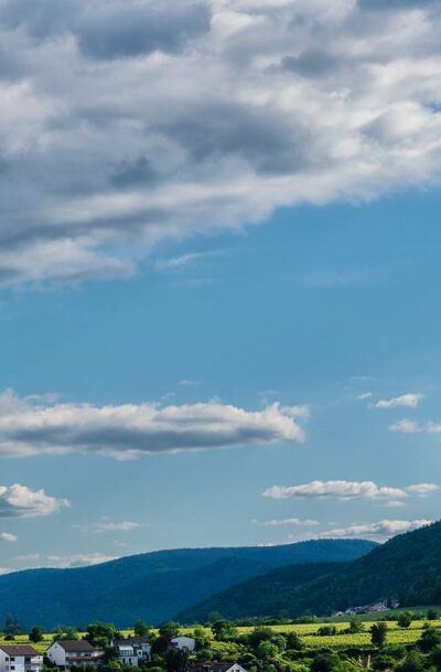 Weinberg Deidesheimer Reiterpfad in der Pfalz mit Bergen, Wald und Wolken