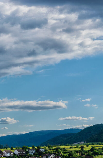 Weinberg Deidesheimer Reiterpfad in der Pfalz mit Bergen, Wald und Wolken