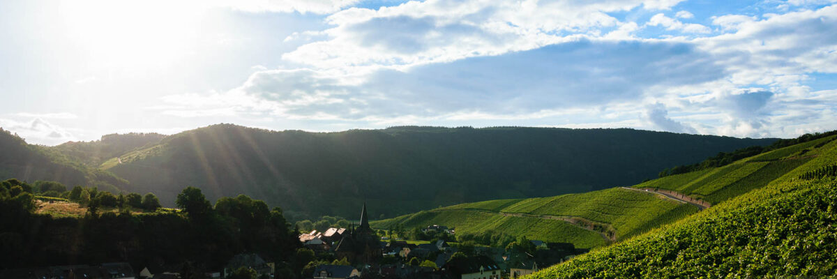 Auf der rechten Seite des Bildes wölbt sich der Weinberg Dhroner Hofberger in das Dhrontal hinein. In der Mitte des Bildes erkennt man den Ort Neumagen-Dhron. Im Hintergrund sind bewaldete Hänge und Wolken sowie die Sonne am blauen Himmel.