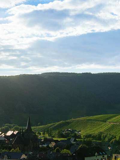 Auf der rechten Seite des Bildes wölbt sich der Weinberg Dhroner Hofberger in das Dhrontal hinein. In der Mitte des Bildes erkennt man den Ort Neumagen-Dhron. Im Hintergrund sind bewaldete Hänge und Wolken sowie die Sonne am blauen Himmel.