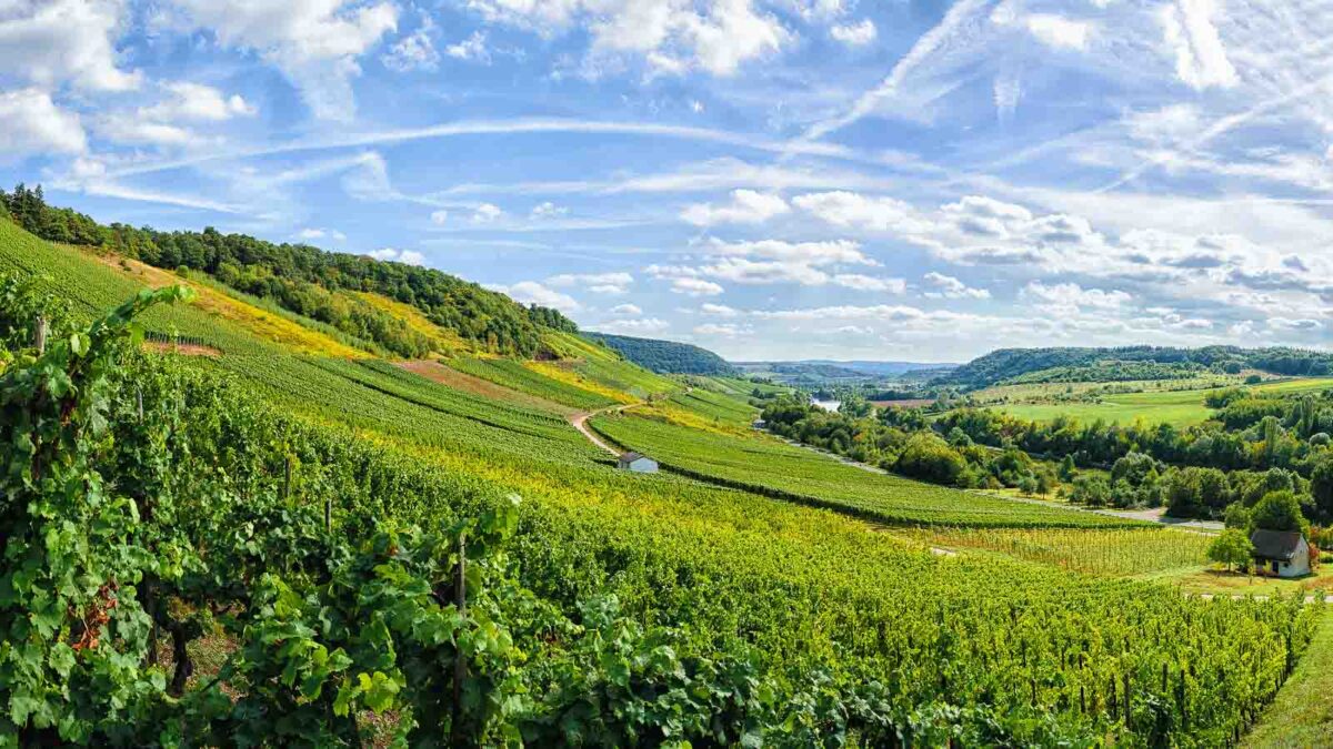 Zerzauste Wolken über dem Kanzemer Sonnenberg <em>16zu9</em>