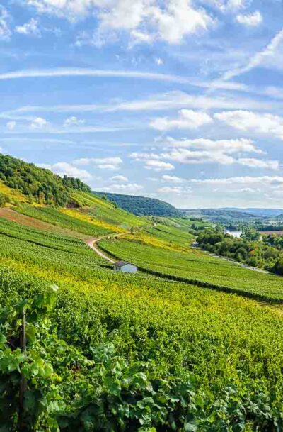 Zerzauste Wolken über dem Kanzemer Sonnenberg <em>16zu9</em>