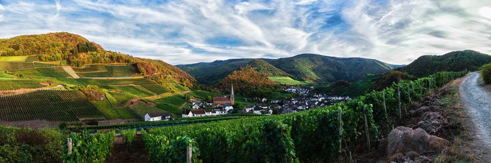 Recht verläuft ein Weg. Im Tal in der Mitte und links befinden sich die Weingärten des Mayschosser Mönchbergs rund um den Ahrtal-Ort Mayschoss. Am blauen Himmel sind weiße Wolkenschlieren erkennbar.