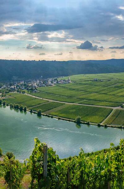 Blick von Wintricher Ohligsberg auf Minheimer Sonneninsel, Fluss Mosel, Landzunge, Ort Minheim und Weinberg Minheimer Rosenberg
