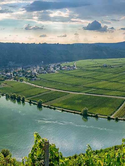 Blick von Wintricher Ohligsberg auf Minheimer Sonneninsel, Fluss Mosel, Landzunge, Ort Minheim und Weinberg Minheimer Rosenberg