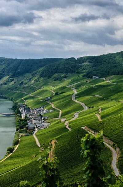 Im Tal liegt der Ort Piesport neben der Mosel. Daneben liegen steile Weinberge.