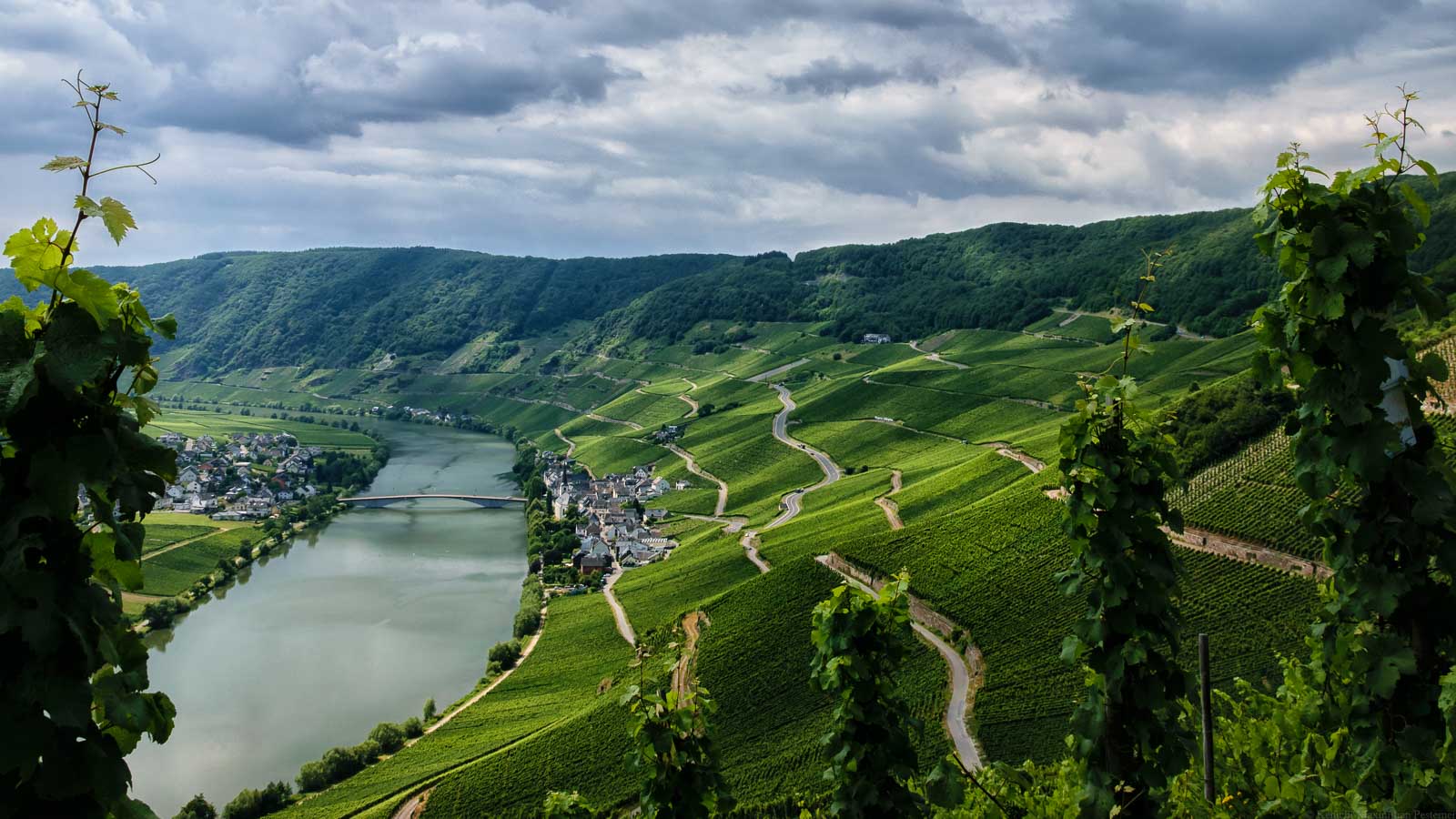 Im Tal liegt der Ort Piesport neben der Mosel. Daneben liegen steile Weinberge.