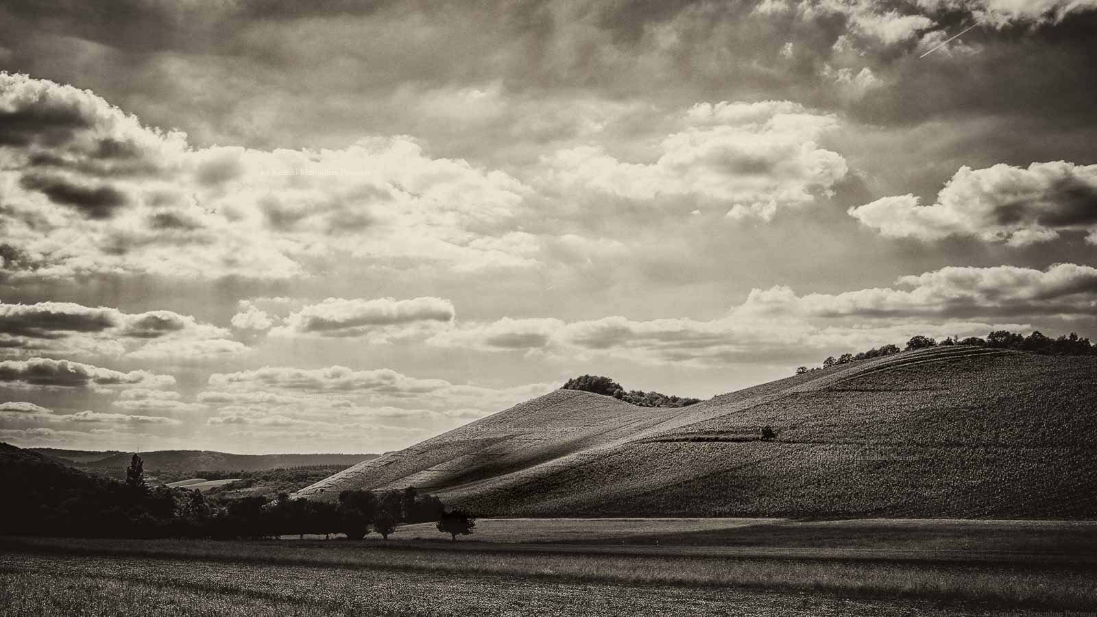 An der Saar ist der Wiltinger Scharzhofberg dank Egon Müller der berühmteste Weinberg. Vorne auf dem Bild erkennt man eine Wiese. Dahinter befindet sich der Weinberg mit den Riesling Reben. Am Himmel ist Wolken.