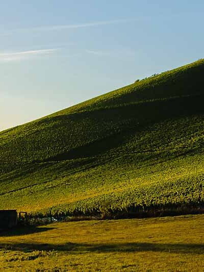 Sonnenuntergang am Weinberg Wiltinger Scharzhofberger. Vorne ist eine Wiese. Links sind Bäume und der Scharzhof. Der Himmel ist rötlich und blau.