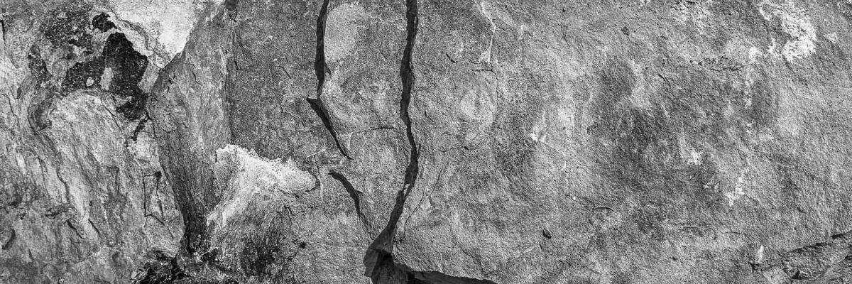 Muschelkalk-Gestein in schwarz und weiß