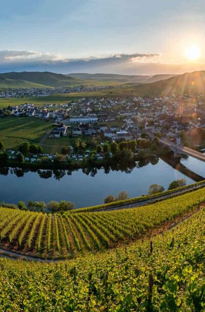 Aus dem Weinberg Trittenheimer Apotheke blickt man in das Moseltal hinein. Am unteren Ende des Hanges im Vordergrund fließt die Mosel. Ein Brücke führt zum Ort Trittenheim am gegenüberliegenden Moselufer. Im Hintergrund links befindet sich der Ort Leiwen. Die Sonne strahlt am leicht bewölkten Himmel.