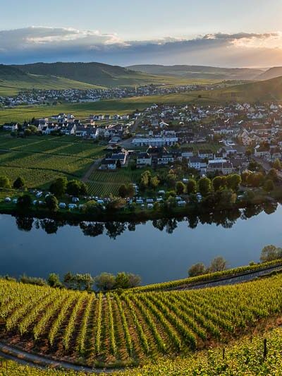 Aus dem Weinberg Trittenheimer Apotheke blickt man in das Moseltal hinein. Am unteren Ende des Hanges im Vordergrund fließt die Mosel. Ein Brücke führt zum Ort Trittenheim am gegenüberliegenden Moselufer. Im Hintergrund links befindet sich der Ort Leiwen. Die Sonne strahlt am leicht bewölkten Himmel.