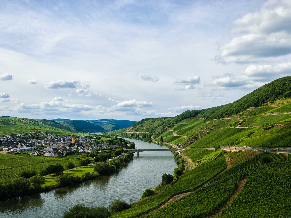 In der Mitte fließt der Fluss Mosel. Über all sind Weinberge. Am linken Ufer liegt der Ort Trittenheim.