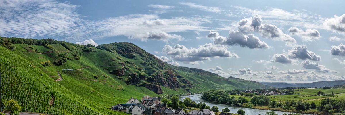 Wundervolle Aussicht vom Weinberg Ürziger Würzgarten bis zum Erdener Treppchen, welches symbolisch für die Weinwelt und das Universum Vinum steht
