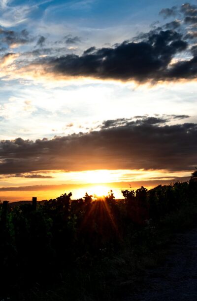 Abendliches Orange der Vols <em>1zu1</em>