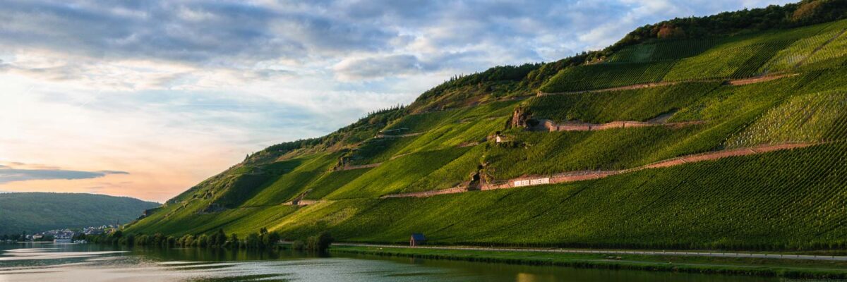 Fluss Mosel im Vordergrund; Straße am Uferrand; steile Weinberge Wehlener Sonnenuhr und Zeltinger Sonnenuhr am Ufer; Ort Zeltingen auf der linken Seite unten im Hintergrund; orange-blauer Himmel; Vinaet Bild dient als Vinaet Titelbild
