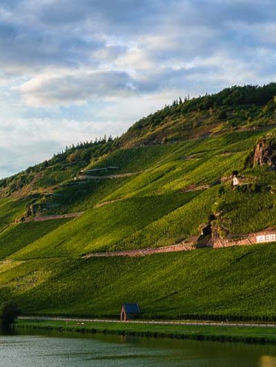 Fluss Mosel im Vordergrund; Straße am Uferrand; steile Weinberge Wehlener Sonnenuhr und Zeltinger Sonnenuhr am Ufer; Ort Zeltingen auf der linken Seite unten im Hintergrund; orange-blauer Himmel; Vinaet Bild dient als Vinaet Titelbild