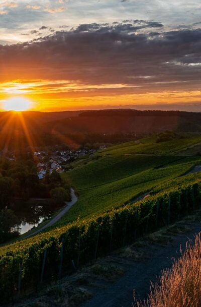 Sonnenuntergang am Weinberg Wiltinger Braunfels an der Parzelle Vols. Am Fuße des Weinberges fließt der Praweltsbach. Daneben liegt der Ort Wiltingen.