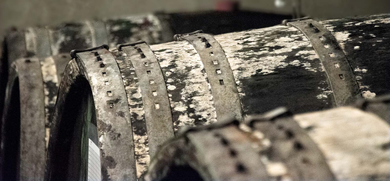 Alte Weinfässer Im Keller der Haarts