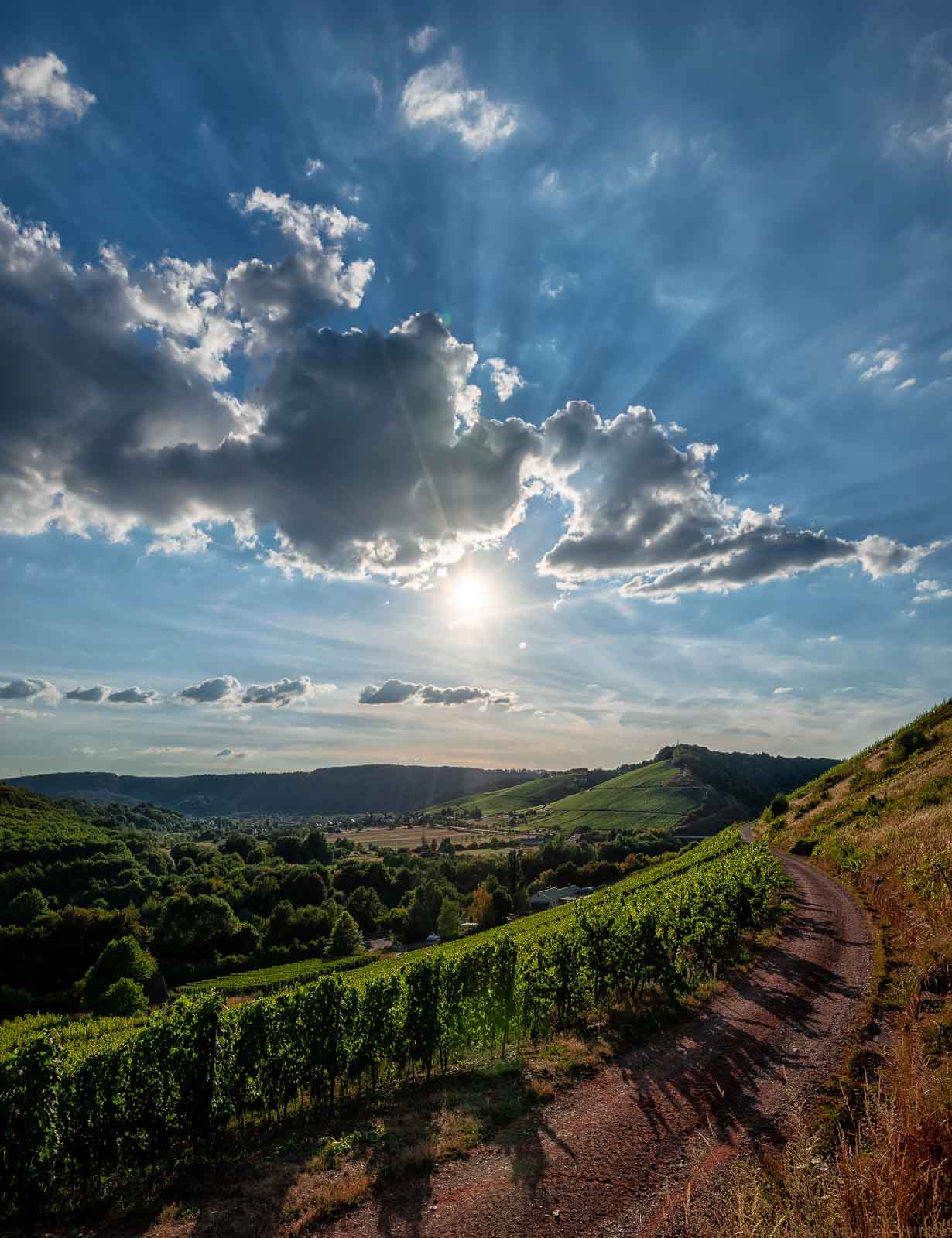 Ausblick vom Weinberg Kanzemer Sonnenberg auf den Weinberg Wawerner Jesuitenberg und den Ort Wawern. Dort befinden sich die Parzellen des Weingutes Dr. Frey. Vorne befindet sich ein roter Steinweg. Am Himmel scheint die Sonne und sind Wolken vorhanden.