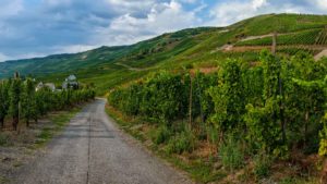 Von der linken Bildhälfte führt ein steiniger Weg in den Weinberg Graacher Himmelreich. Vorne ist der Weinberg Flach. Weiter hinten erhebt sich der Weinberg hervor und wird steil. Links hinten erkennt man ein Haus und Hügel. Oben am blauen Himmel sind viele Wolken.