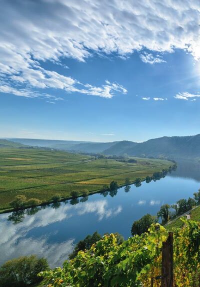 Im Herzen der Mittelmosel liegt das Piesporter Goldtröpfchen also Postkartenmotiv