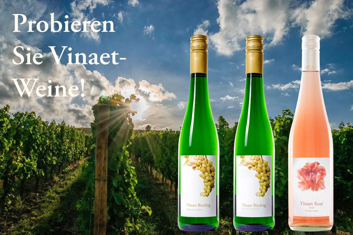 Auf dem Bild erkennt man rechts drei Weinflaschen. Davon sind zwei Vinaet Rieslinge und eine Flasche ist ein Vinaet Rosé made by Karl Erbes.