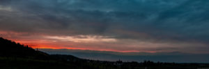 Sonnenuntergang am Forster Pechstein, Hügel und Burgturm der Wachtenburg. Die Rebstöcke auf dem Bild im Vordergrund dienen dazu einige der besten Pfalz-Weine herzustellen.