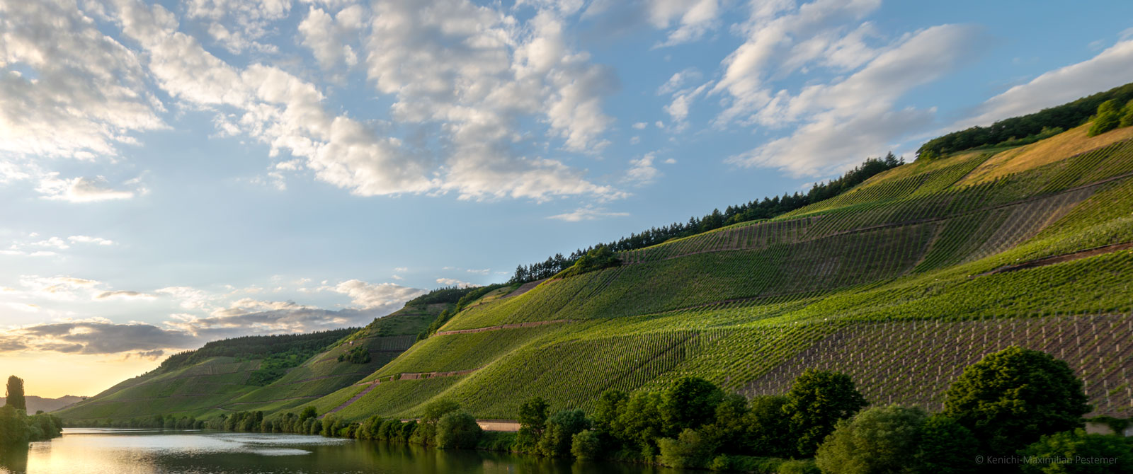 Der Steilhang Longuicher Herrenberg erhebt sich am rechten Ufer des Flusses Mosel am oberen Ende des Hanges. Die Mosel ist der Fluss in der Mitte und im linken Bereich des Fotos. Am blauen Himmel sind viele Wolken und links hinten geht die Sonne unter.