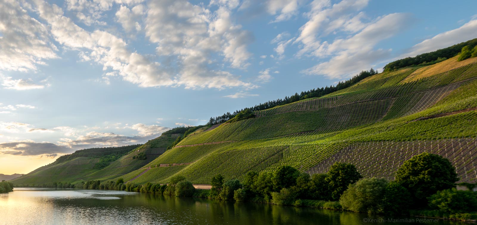 Der Weinberg Longuicher Maximiner Herrenberg befindet sich am rechten Ufer des Flusses Mosel. Die Mosel ist der Fluss in der Mitte und im linken Bereich des Fotos. Am blauen Himmel sind viele Wolken und links hinten geht die Sonne unter.