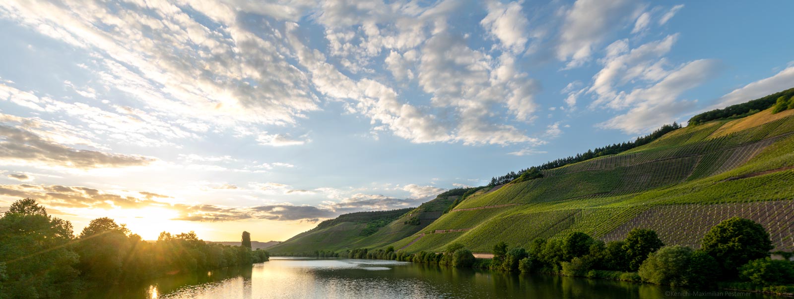 Vinaet Titelbild der Weinregion Mittelmosel