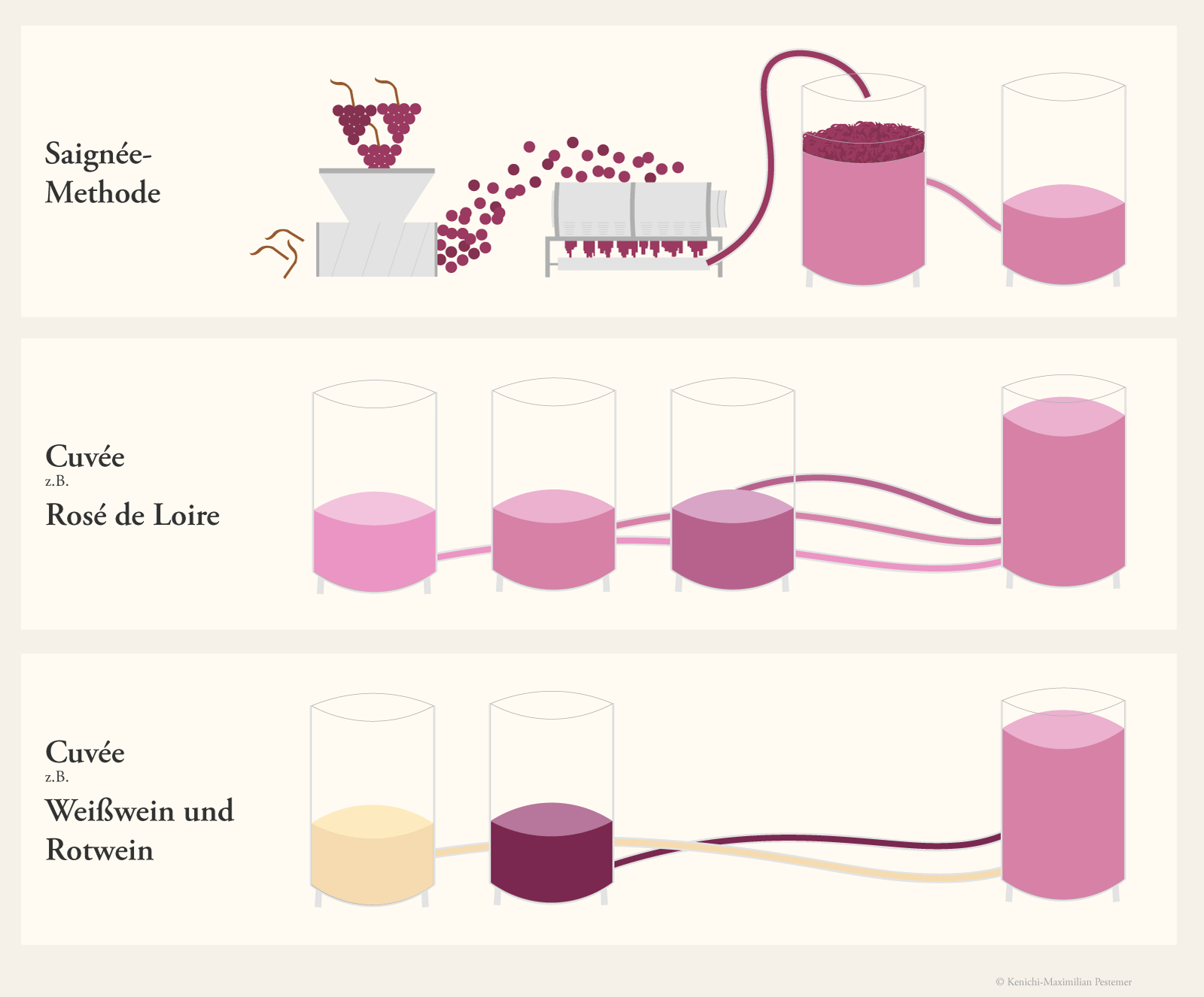 Diagramm und Grafik, welche drei Methoden zur Herstellung von Rosés beinhaltet. Oben wird die Saignée-Methode dargestellt. Darunter wird die Cuvée-Methode dargestellt. Es werden rote Trauben von Stielen getrennt. Die roten Beeren der Trauben werden in einer länglichen Maschine gepresst. Von dort wird der Saft samt Schalen in einen Behälter gepumpt.