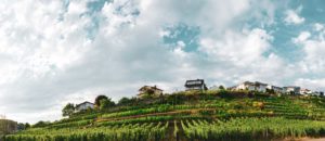 Man blickt auf den luxemburgischen Weinberg Wousselt, welcher von der Sonne angestrahlt wird. Auf dem Weinberg befinden sich Häuser. Der Himmel ist voller Wolken oben.