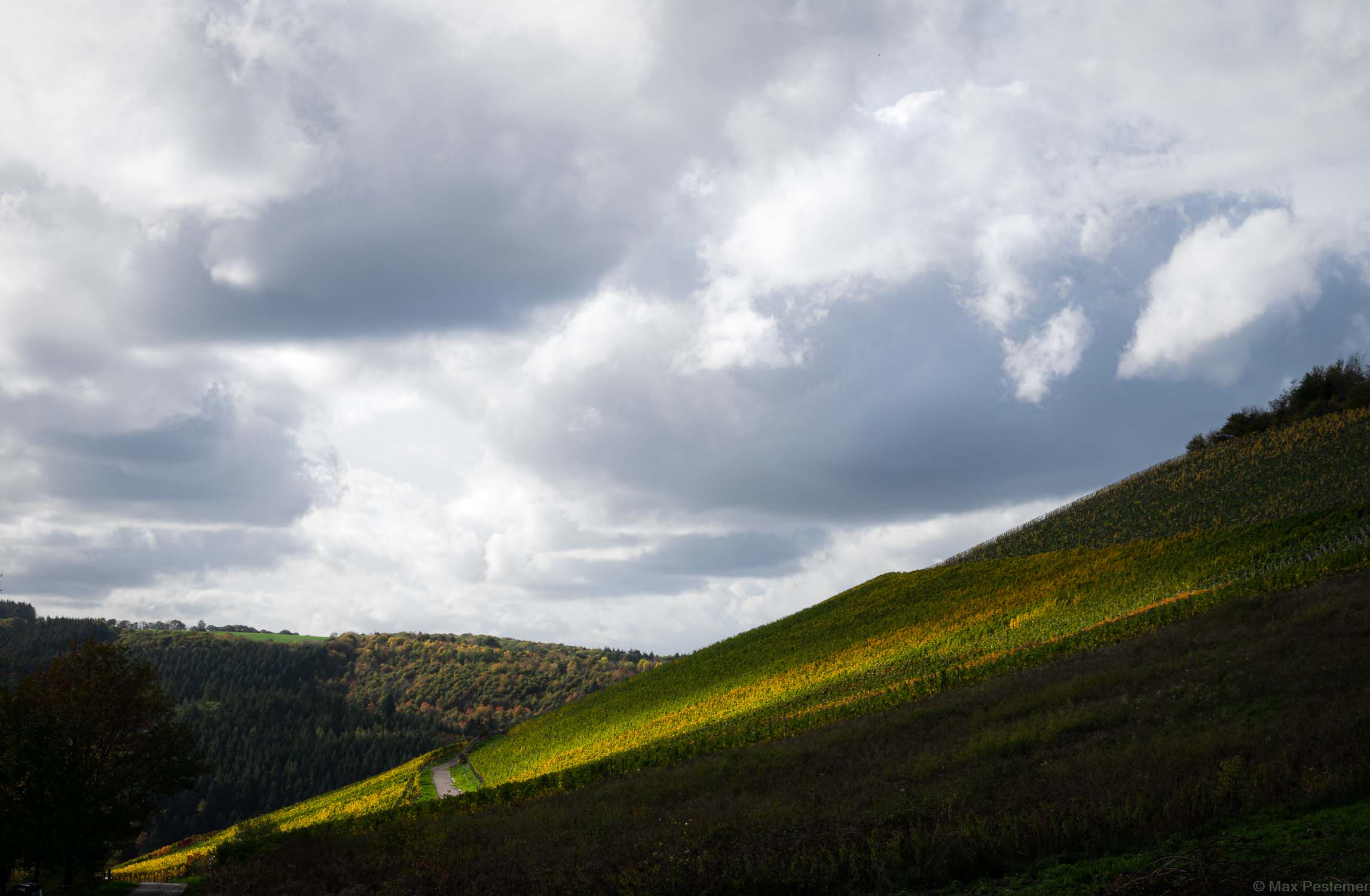Über dem bunten Weinberg Kaseler Hitzlay befinden sich dunkle Wolken am Himmel. Die Wolken werfen dunkle Schatten auf den Weinberg. An einer Stelle Weinberg sieht man helle Sonnenstrahlen. Dort erkennt man die Farben der Blätter. Die Weinblätter im Weinberg sind in grüner, gelber, orangener und roter Farbe gefärbt.