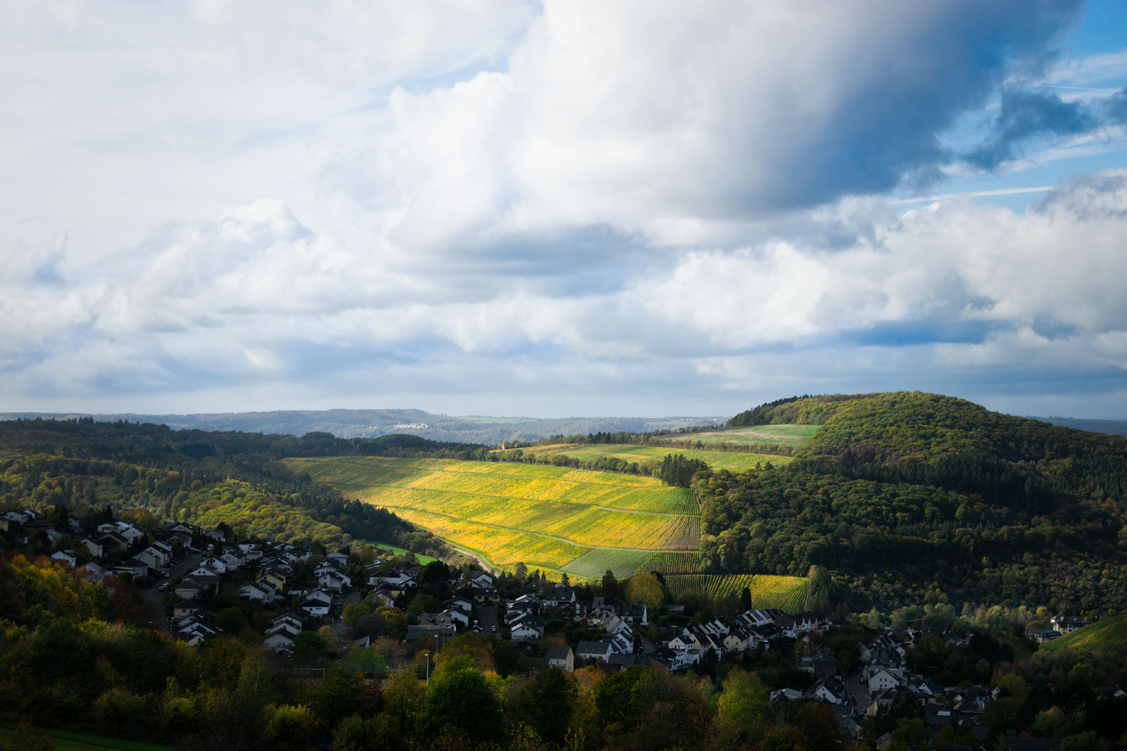 Der Weinberg Mertesdorfer Maximin Grünhaus Abtsberg befindet sich in der Weinregion Ruwer, welche zur Mosel gehört. Im Vordergrund erkennt man die Häuser des Ortes Mertesdorf samt bunter Bäume im Herbst. In der Mitte des Bildes erkennt man den durch die Sonne beleuchteten Weinberg. Rund um den Weinberg befinden sich Wälder am Himmel sammeln sich große Wolken. Der Weinberg ist unter dem Himmel in gelb-goldener Farbe sichtbar.