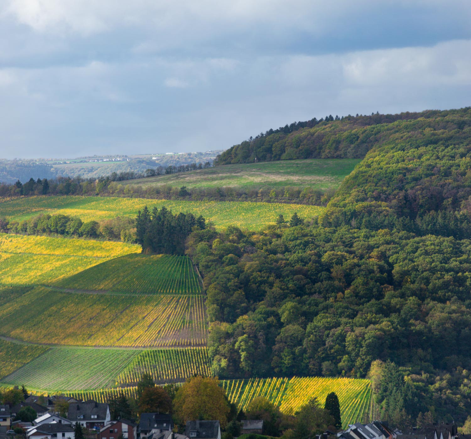 Mertesdorfer-Maximin-Grünhäuser Brüderberg im Herbst in grün-gelber Farbe. Unten befinden sich Häuser des Ortes Mertesdorf. Rechts am Hang ist ein Wald. Am blauen Himmel sind Wolken.