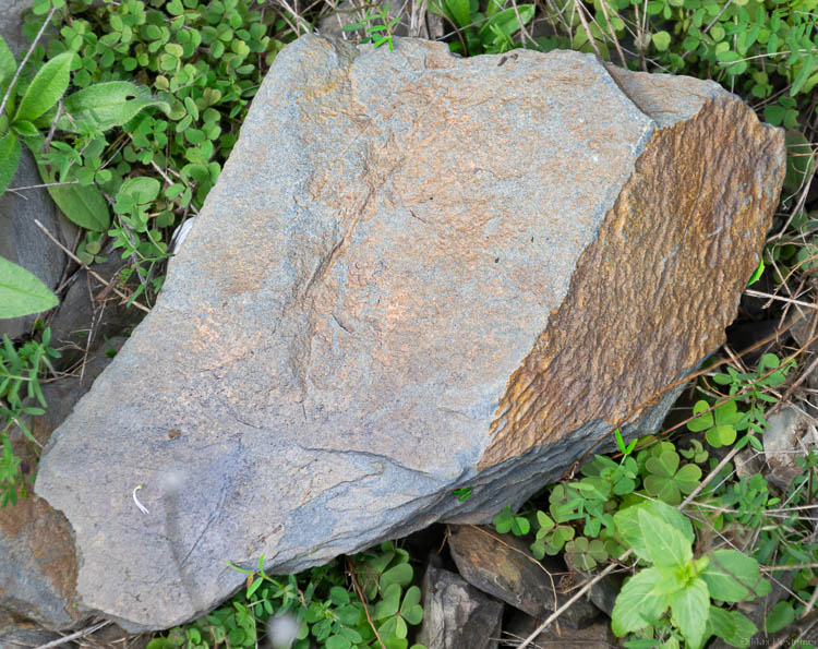 Grau-blauer Schieferstein aus dem Waldracher Laurentiusberg mit rötlichen Färbungen.