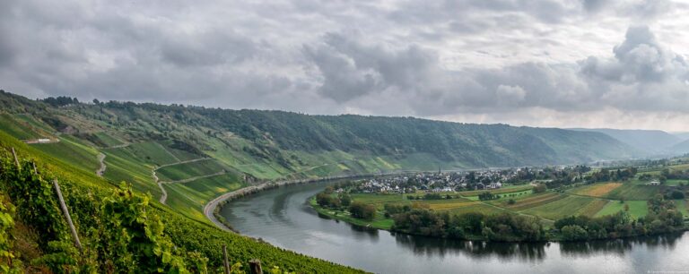 Der Weinberg Kröver Steffensberg wölbt sich auf der linken Seite rund um den Fluss Mosel. Am Himmel sind viele dunkle Wolken. Am rechten Ufer des Flusses Mosel befindet sich der Ort Wolf.