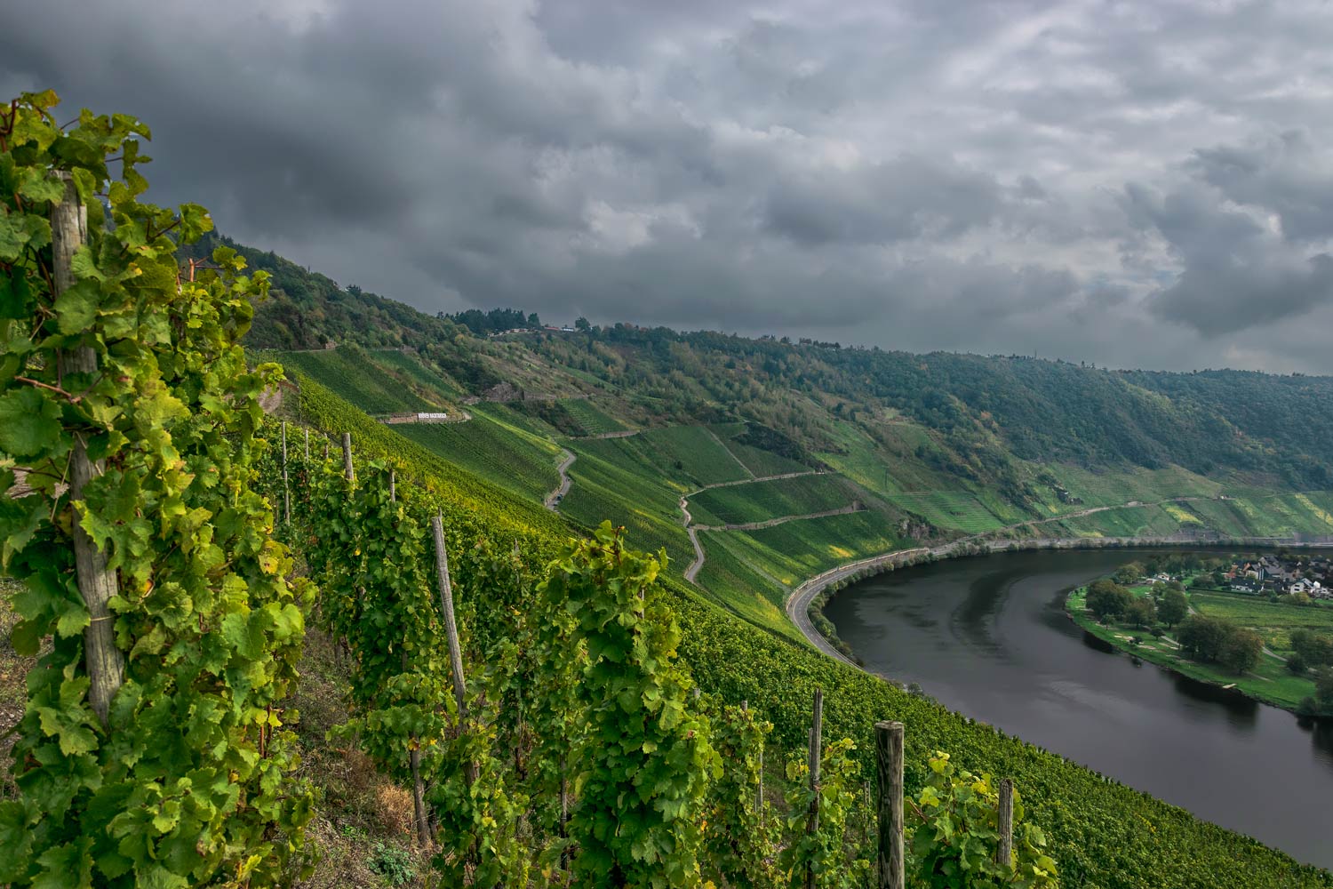 Der Weinberg Kröver Steffensberg wölbt sich auf der linken Seite rund um den Fluss Mosel. Am Himmel sind viele dunkle Wolken.