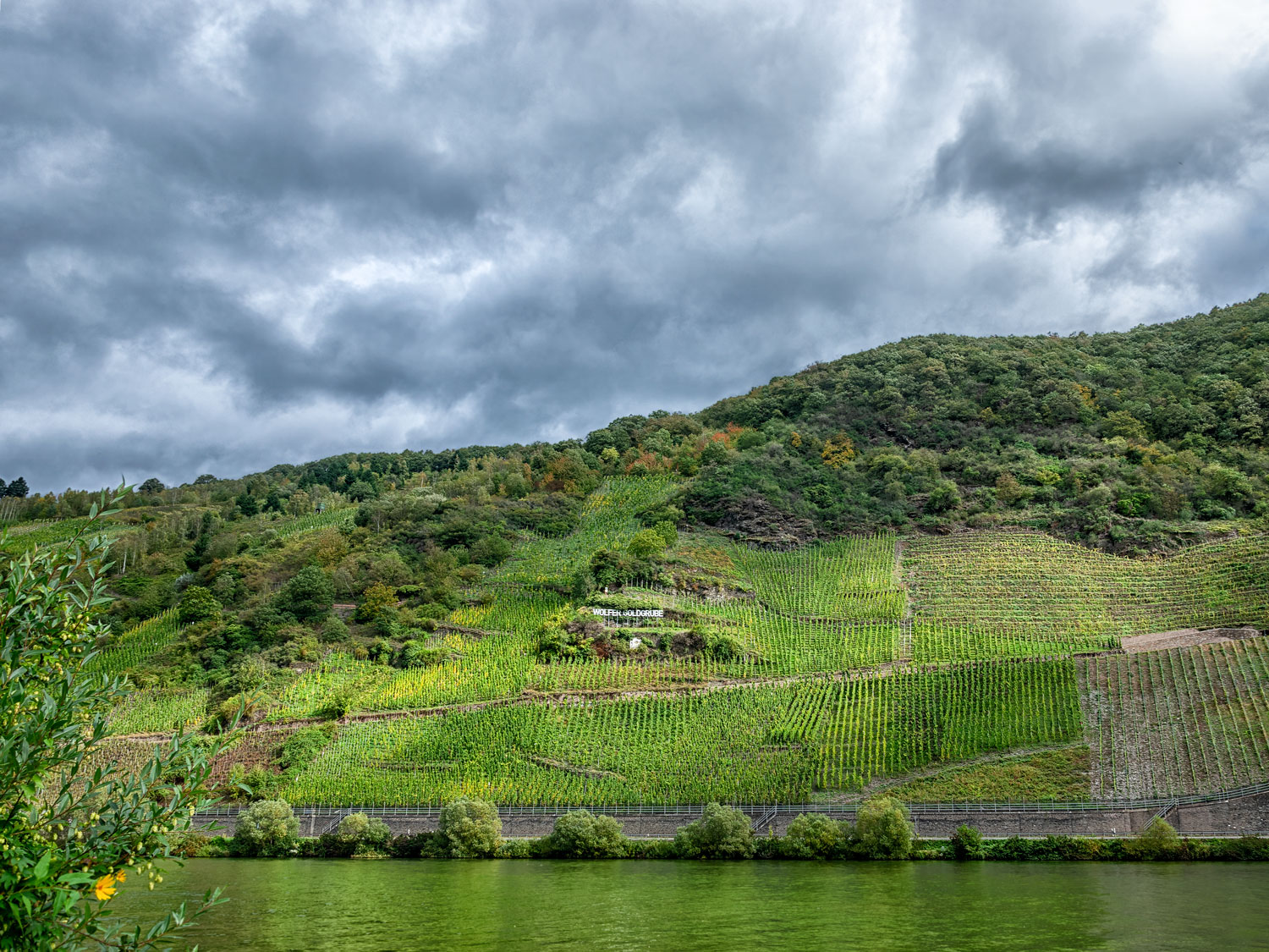 Auf dem Bild erkennt man im Vordergrund den Fluss Mosel in grünlicher Farbe. Am gegenüberliegenden Ufer türmt sich der steile Weinberg "Wolfer Goldgrube" auf. Am Himmel sind viele dunkle Wolken mit etwas Licht.