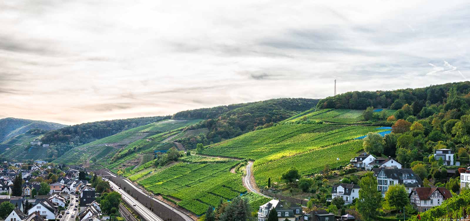 Auf dem Bild erkennt man in der Mitte den Weinberg Ahrweiler Rosenthal. Links unten erkennt man die Häuser des Ortes Ahrweiler. Recht oberhalb der Weinberge befinden sich bewaldete Hügel.