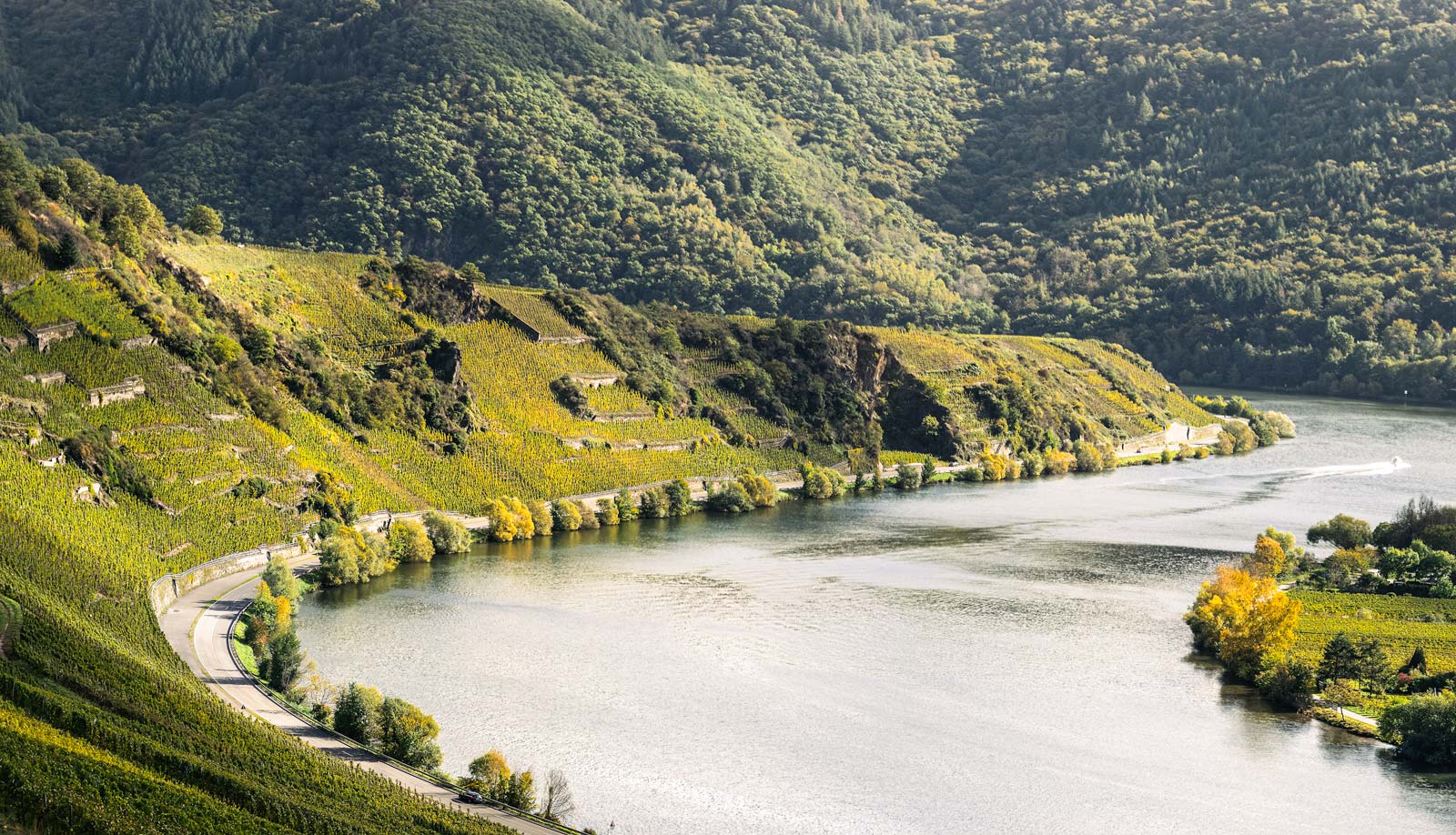 Man erkennt am linken Bildrand die steilen Hänge des Weinbergs Mehringer Blattenberg. Am rechten Bildrand sind man den Fluss Mosel. Am blauen Himmel sind einige Wolken.